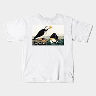 Bird of America  Bird, bird lover, america, beautiful  Public domain painting by John James Audubon Kids T-Shirt